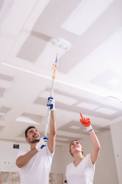 Best Industrial Mold Remediation  in Dillon, CO
