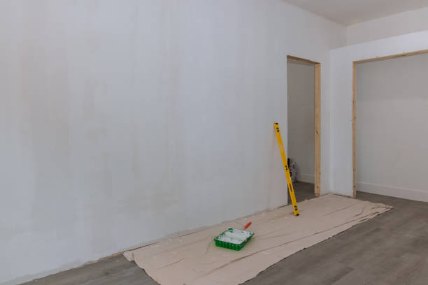 Reliable Dillon, CO Mold Removal Solutions
