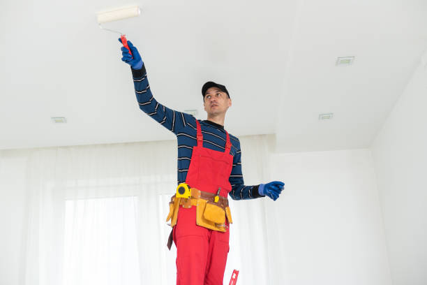 Best Air Quality Testing for Mold Spores  in Dillon, CO