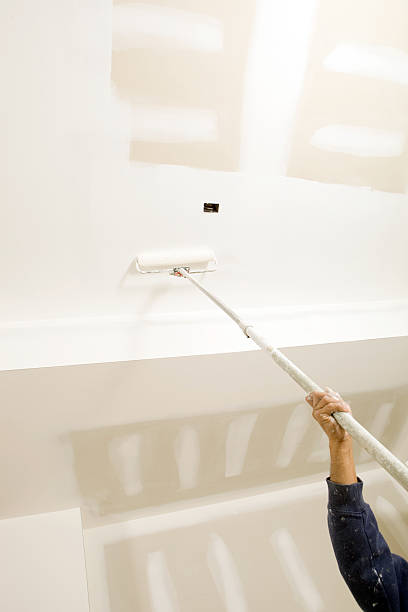 Best Dehumidification Services  in Dillon, CO