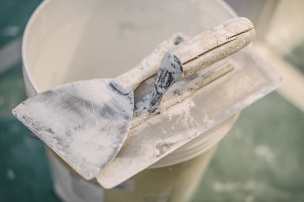 Best Water Damage & Mold Remediation  in Dillon, CO